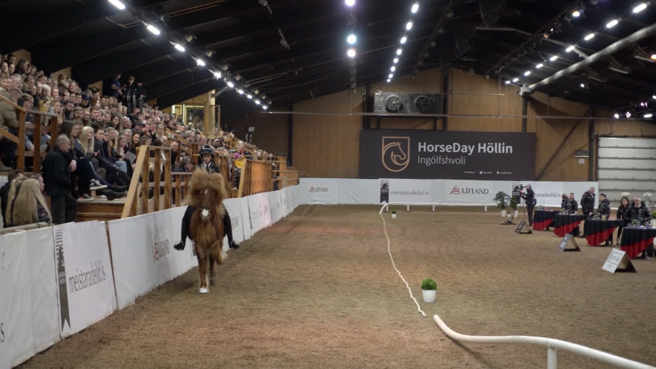 Meistaradeild 2023 at HorseDay Höllin Ingólfshvoli