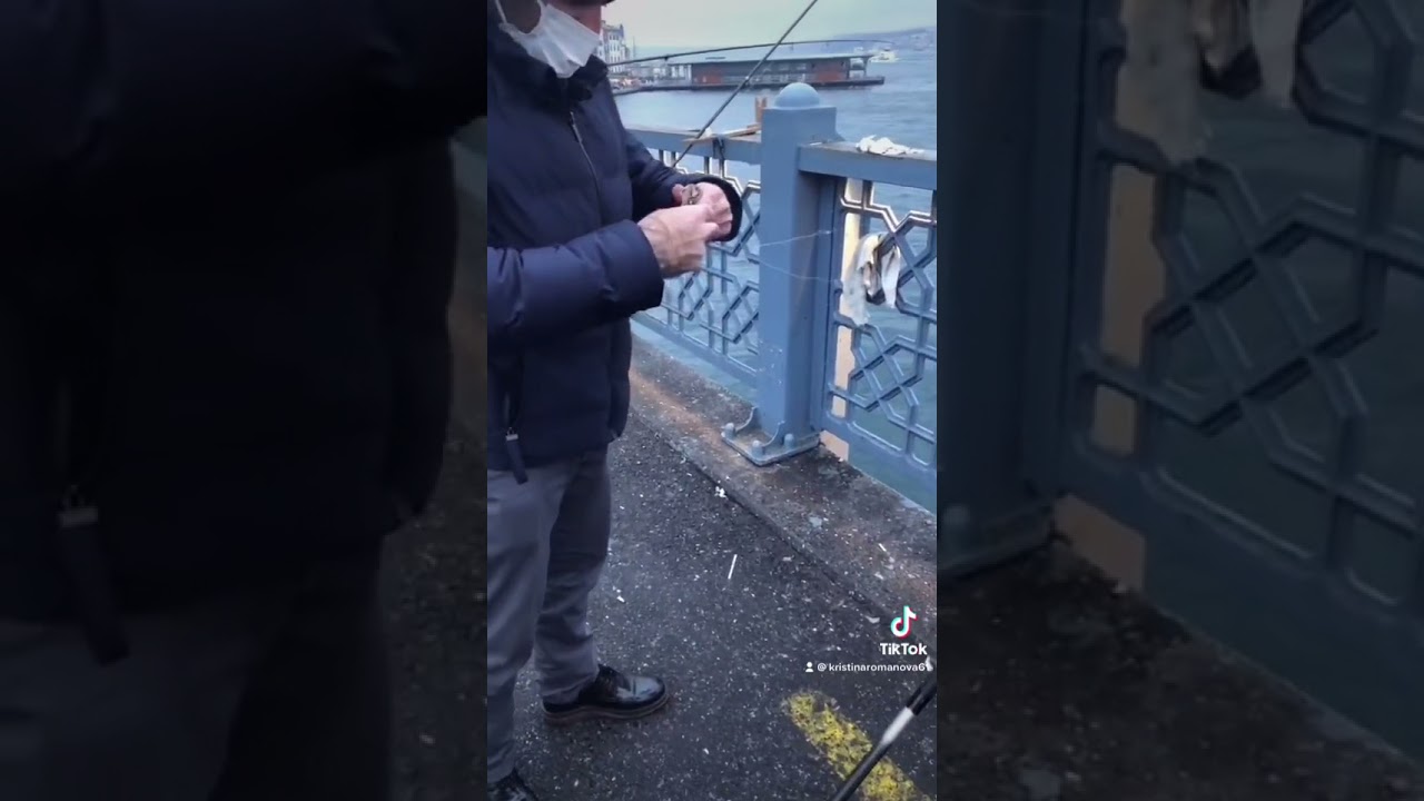 Босфор. Рыбалка/Bosphorus.  Fishing/shorts