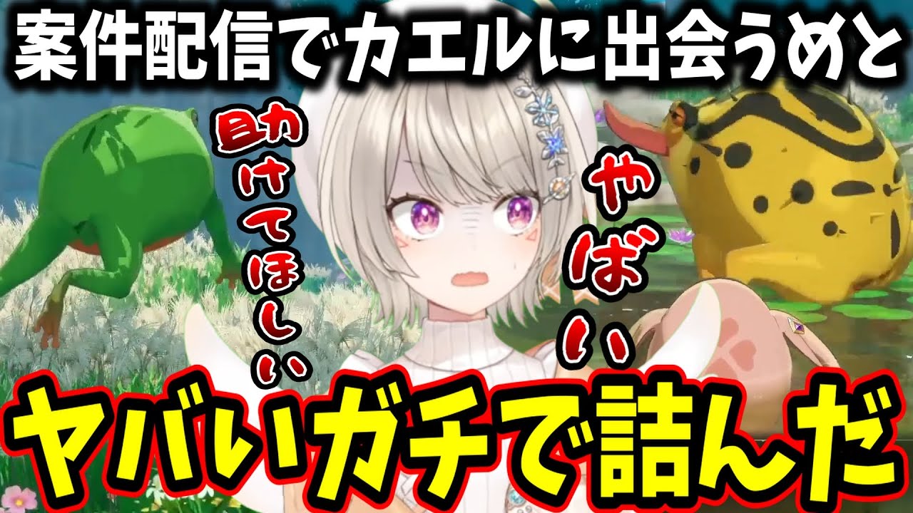 案件配信でも天敵のカエルに出会ってしまい絶叫する小森めと【ぶいすぽ/切り抜き/七つの大罪Origin】