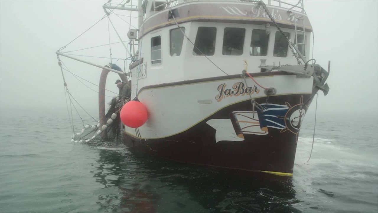 Pêche au hareng à la senne / Herring fishing, Blanc Sablon, Basse-Côte-Nord du Québec