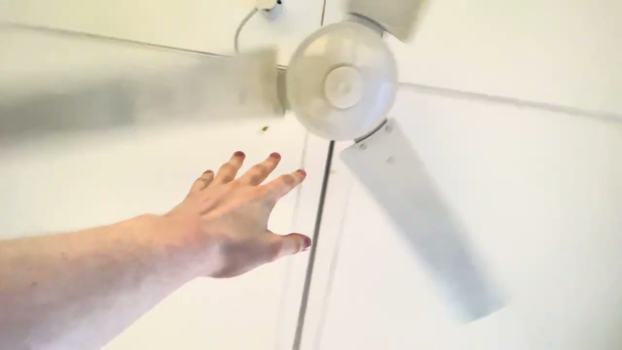 I Gotta Get these Fans Going
