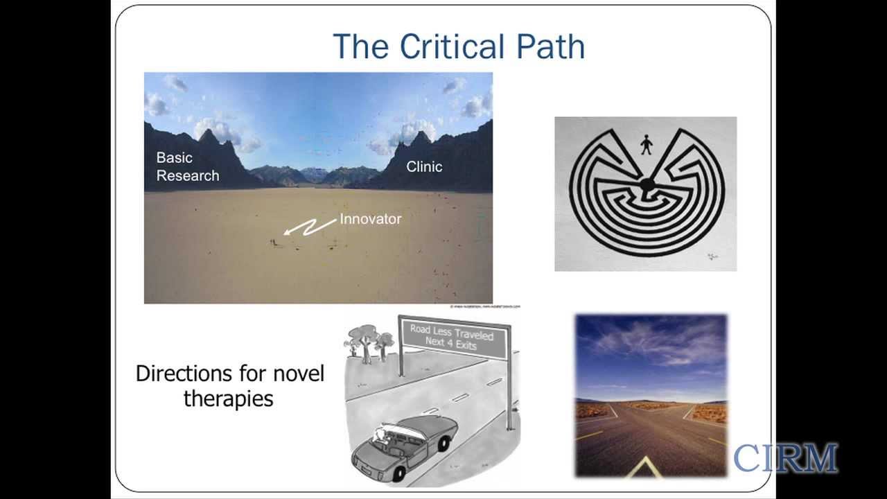 Stem Cell Clinical Trials: Designing Preclinical Studies for First in Human Trials | Joy Cavagnaro