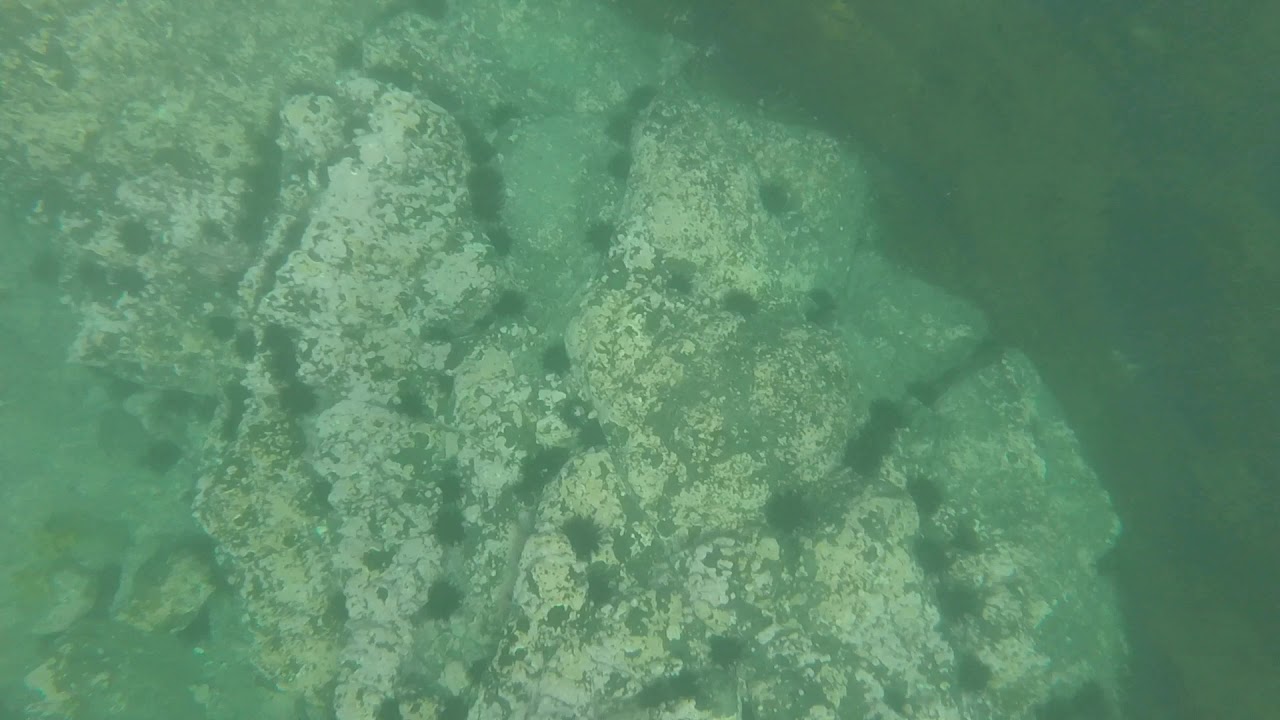 Diving at Bombo boneyards