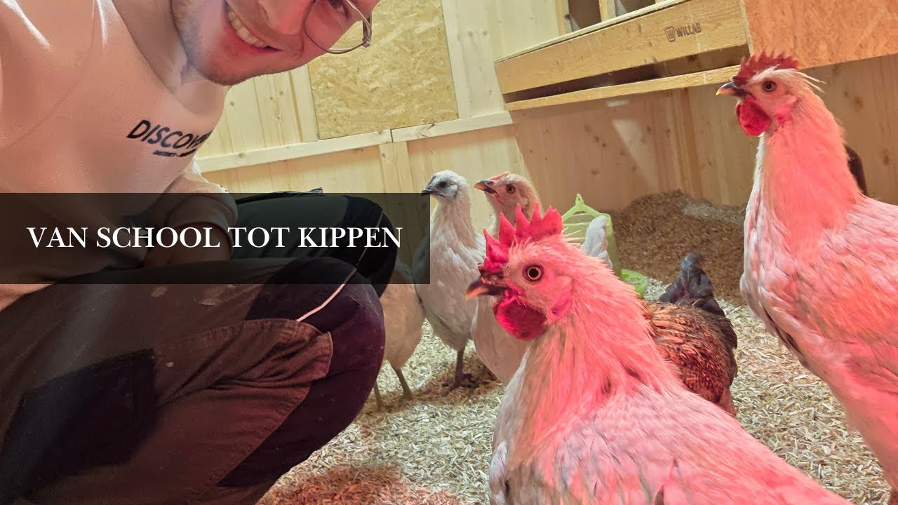 Onze start in Zweden | Shoppen, schoolproject & kippen verhuizing