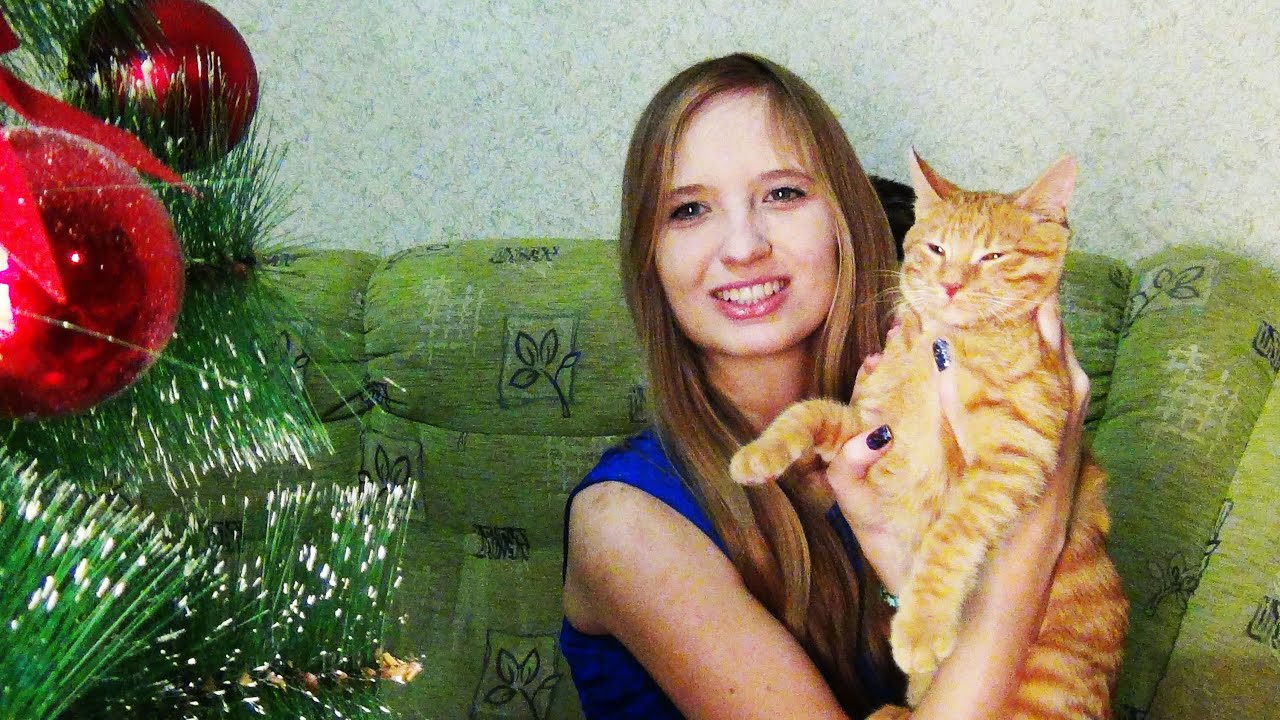 Мои Животные / ГДЕ КЛЯКС?! / Мои коты