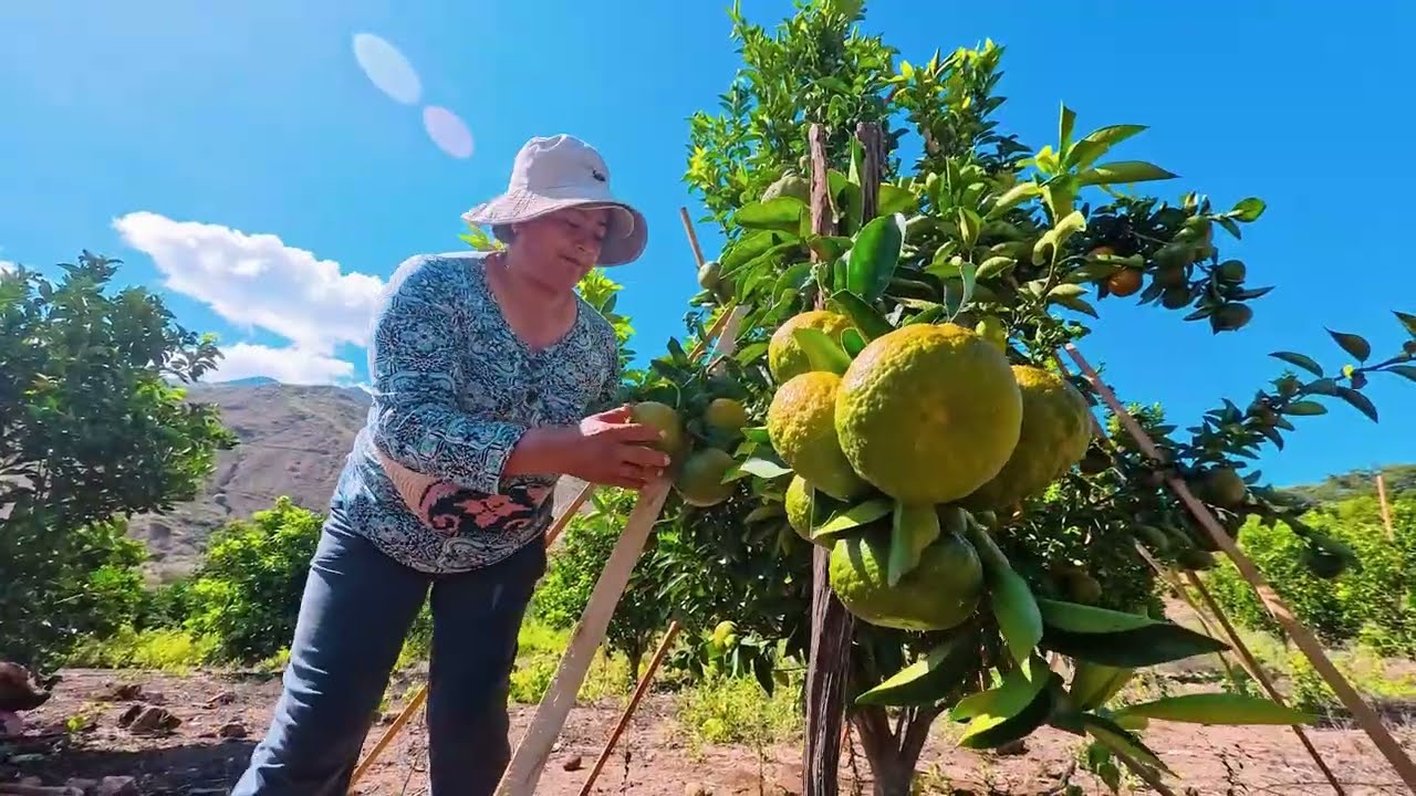 El Tablón: orgullo que nace de la tierra y se lleva en el corazón.