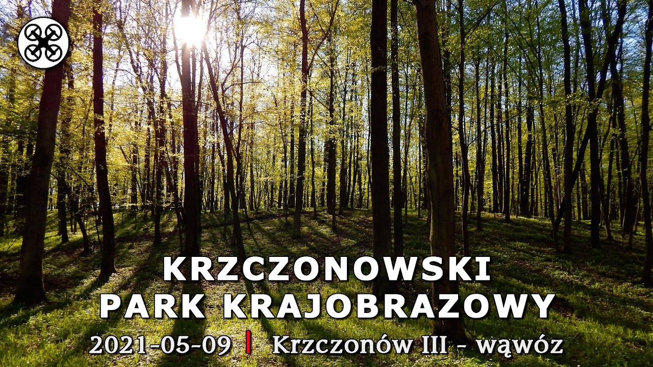 Krzczonowski Park Krajobrazowy - Wąwóz wiosną 2021/05/09