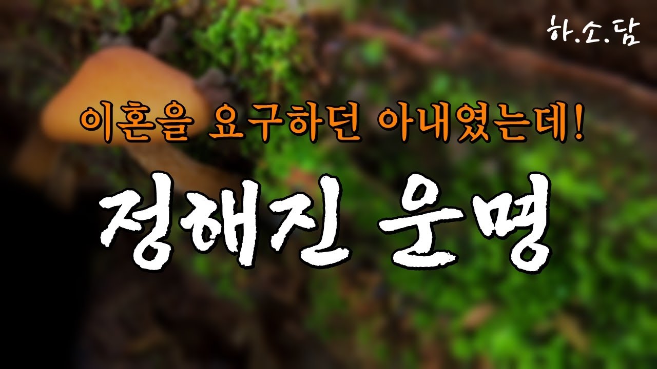 운명이라고 할 수밖에... 이혼을 요구하던 아내가 대리모가 되어 나타나다니!  [저기 소수가 있다 - 이근자 소설] #하소담오디오드라마