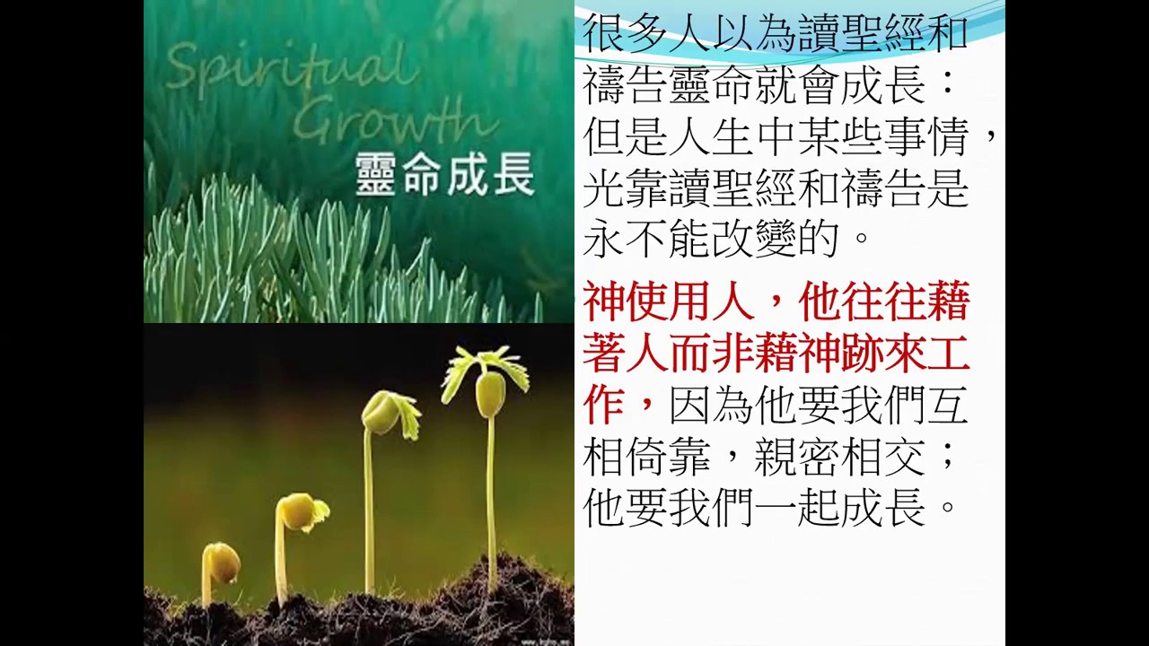 《標竿人生》第22天 我被造是為了像基督