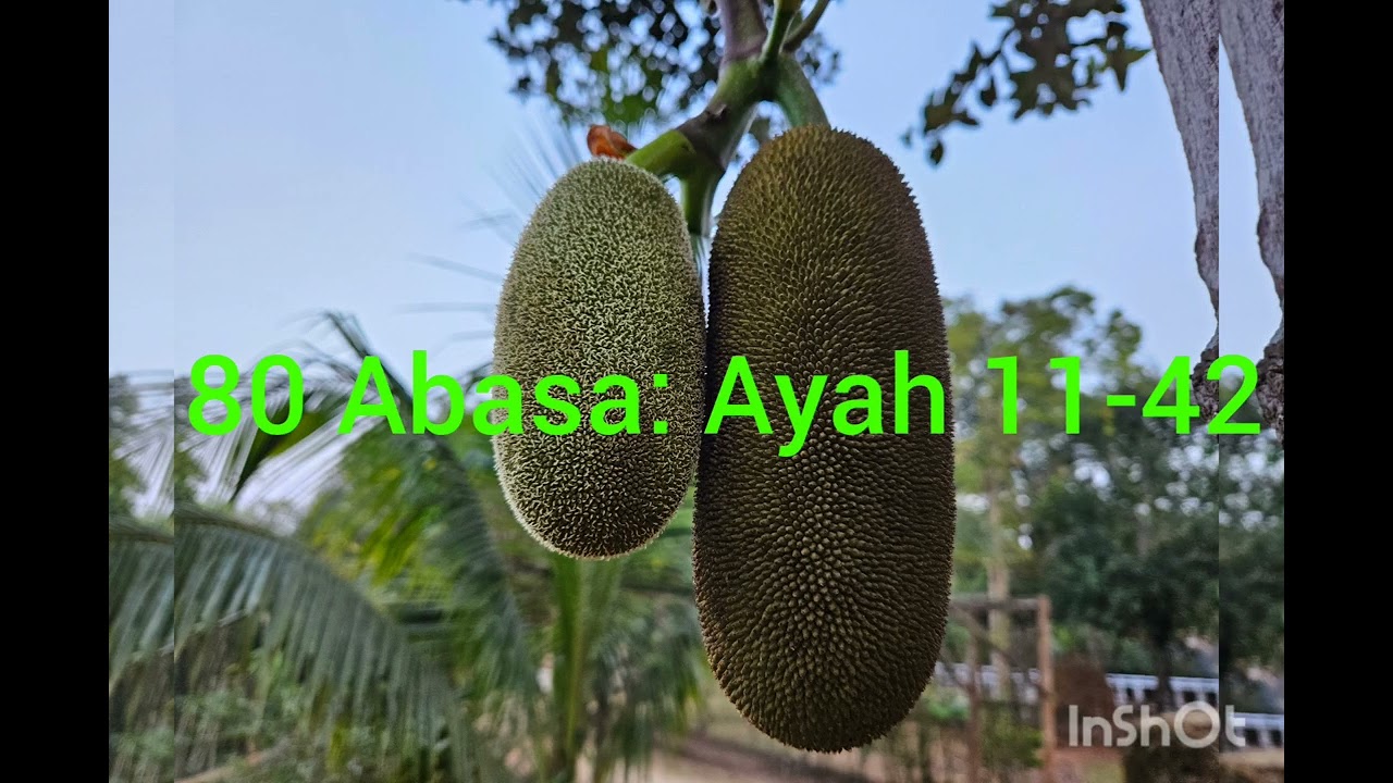 80 Abasa: Ayah 11-42 explained in Sylheti Bangla