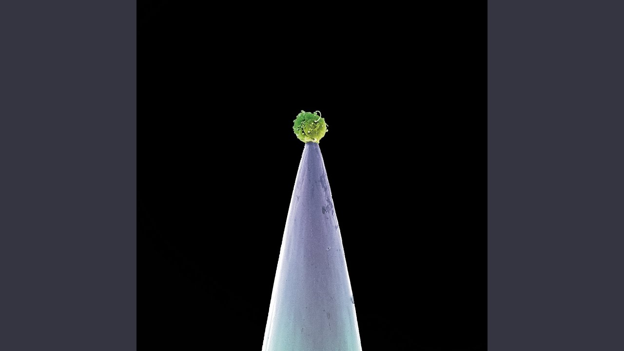 Don't Give Up (New Blood Version)