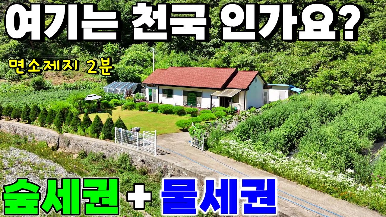 🐶[단양 전원주택]🏡천혜의 자연! 앞마당 개울, 뒷마당 국유림! 찐 힐링 보금자리(면소재지 2분/영구조망) 잔디마당+멀티룸+텃밭! 휀스시공 반려견과 행복한 단양 전원생활
