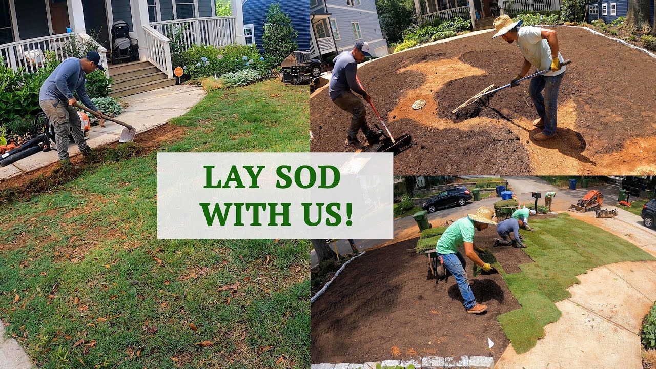 SATISFYING Sod Installation TIMELAPSE - 8 hours in 6 minutes