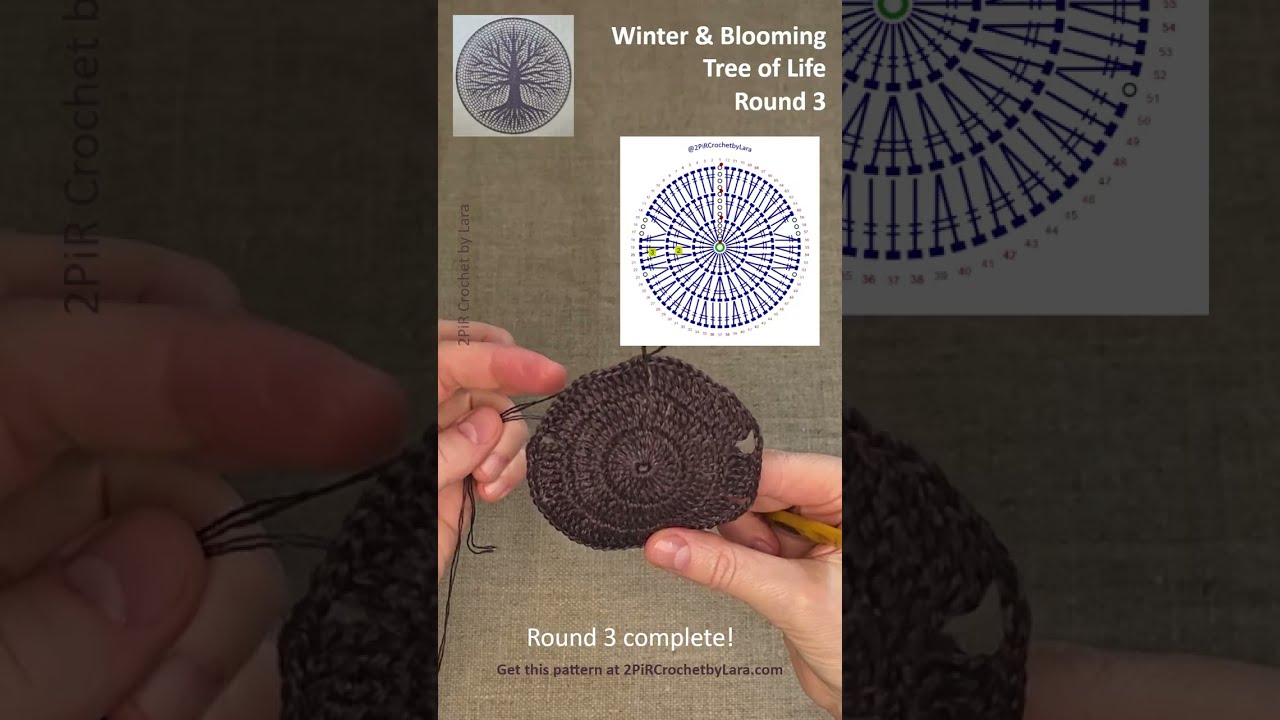 Winter & Blooming Tree of Life Mandala Crochet Pattern - Round 3