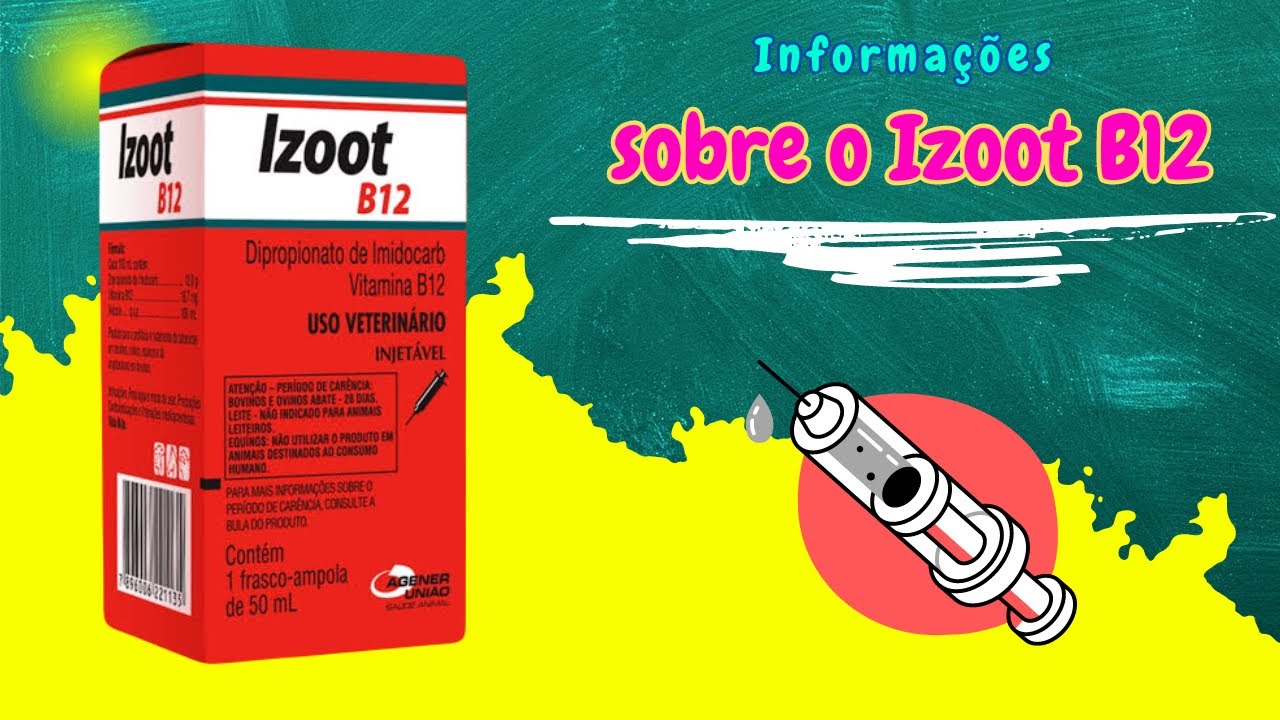 Informações sobre o Izoot B12.