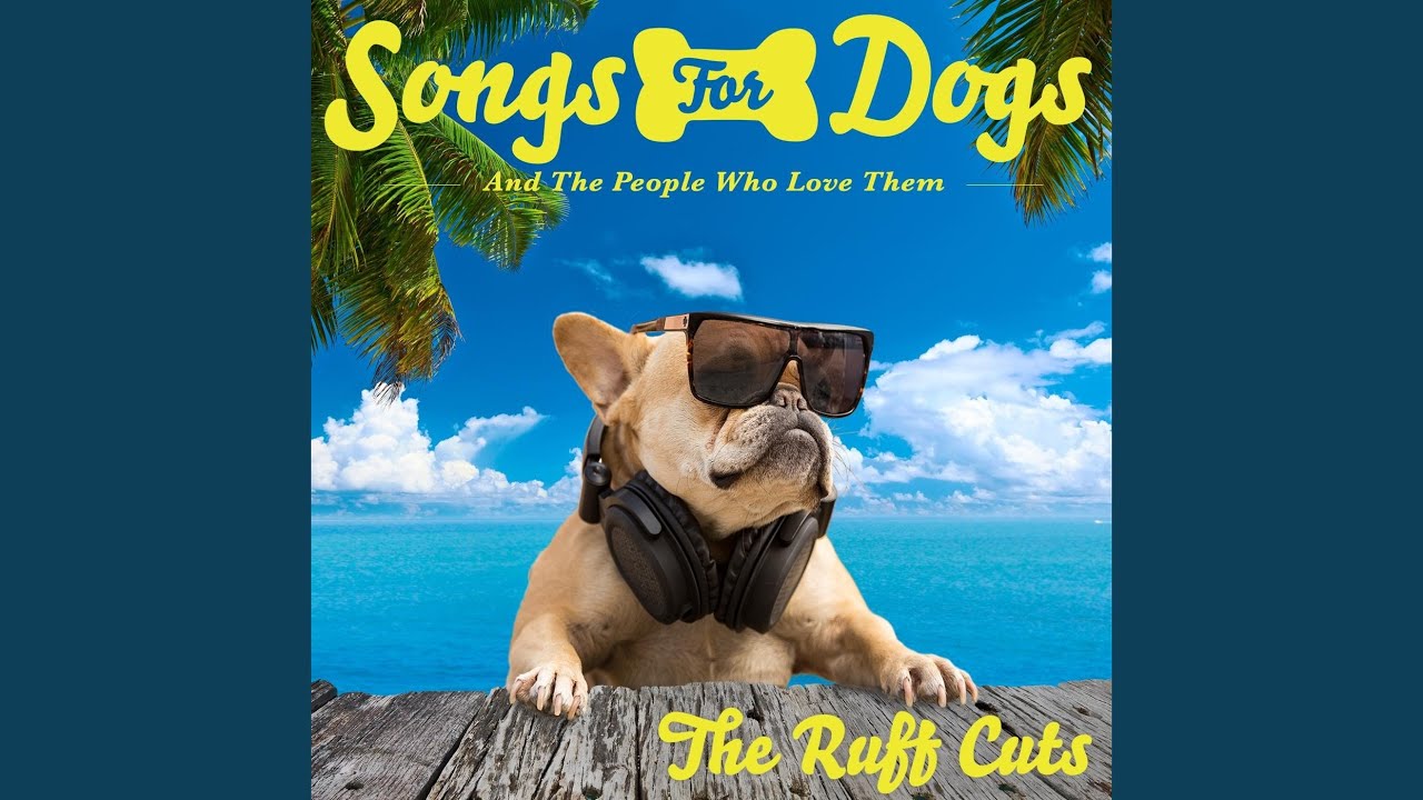 I'll Always Come Back for You