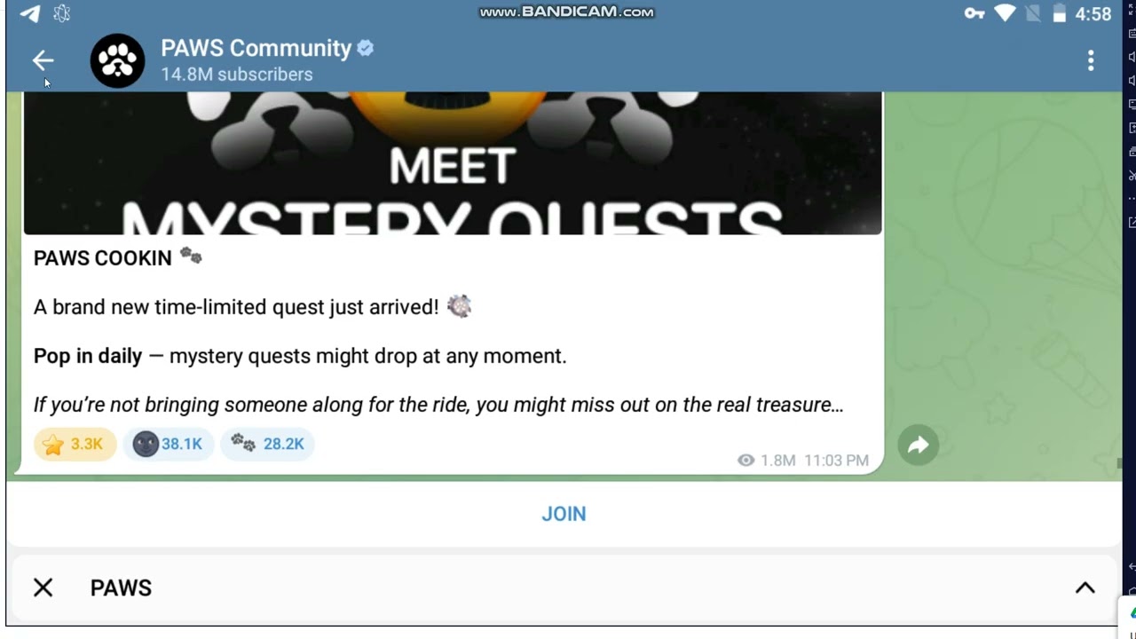 How to work in Paws telegram bot, Paws telegram project