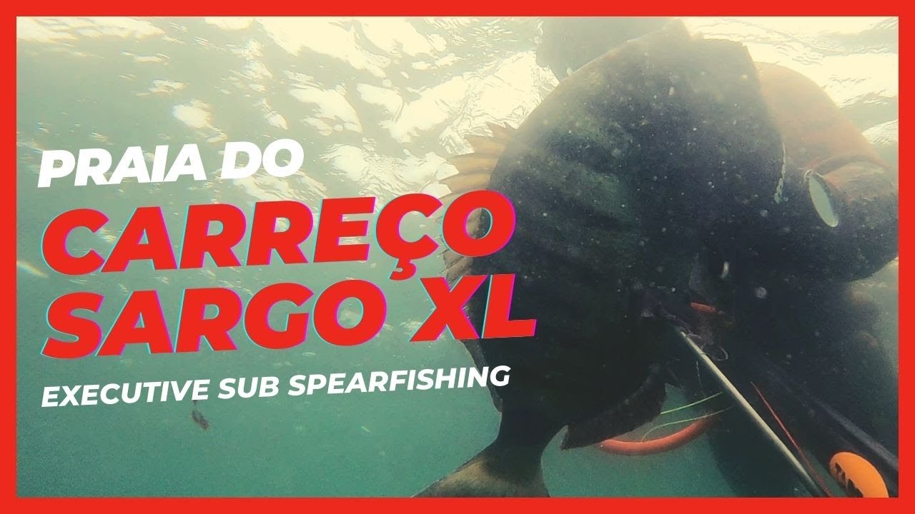 Sargo XL no Carreço (Caça Submarina Viana do Castelo)