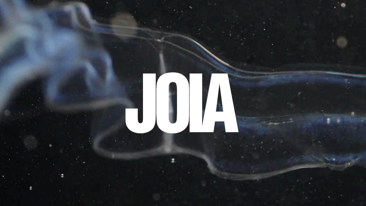 Joia &bull; Luedji Luna / Sample P&eacute;rola Negra de Luiz Melodia feat. Isaiah Sharkey (Visualizer)