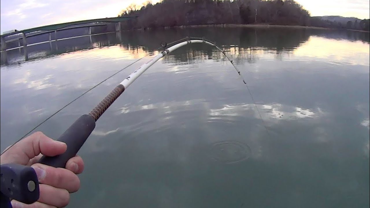 Using Crappie Baits for Big Catfish at the Steam Plant