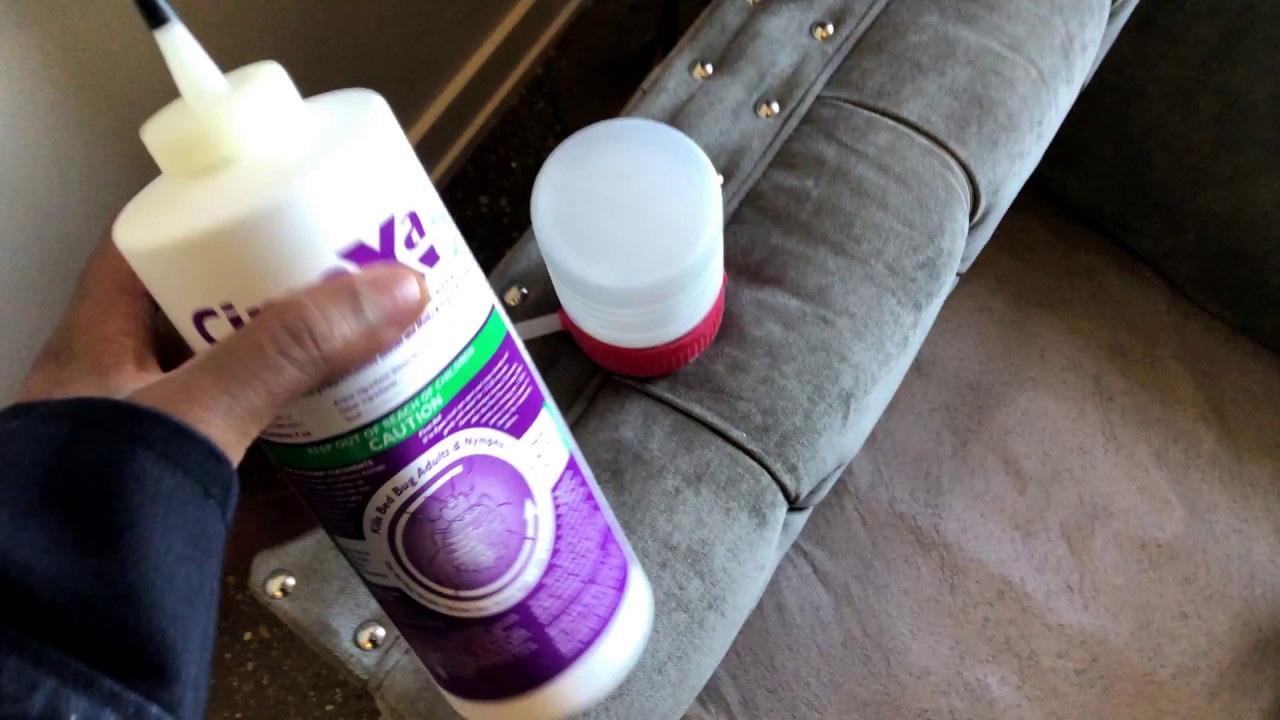 Why Cimexa Dust Works Better Than You Think!