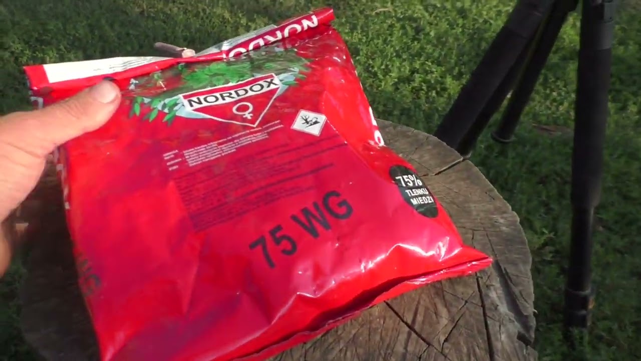 Фунгіцид Нордокс на стражі виноградника та садка.