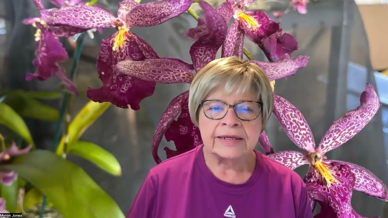 ACIM Lesson 75 2026