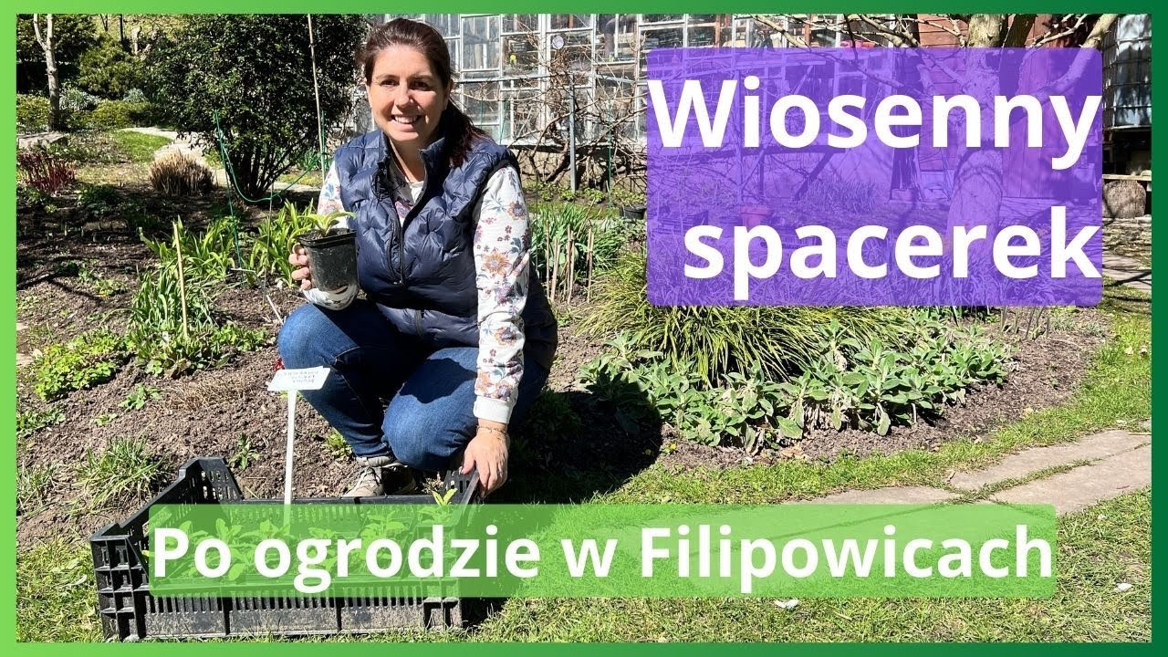 Wiosenny spacerek po ogrodzie.