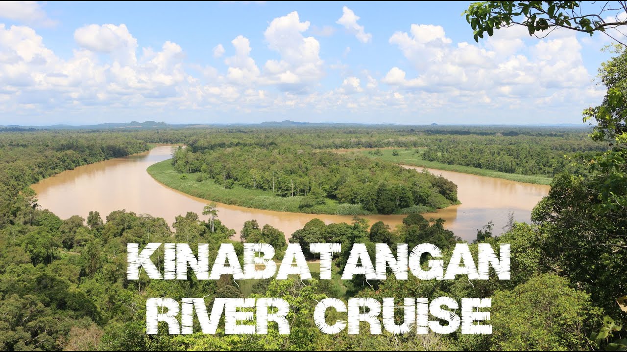 Malaysia / Borneo - Kinabatangan River Cruise