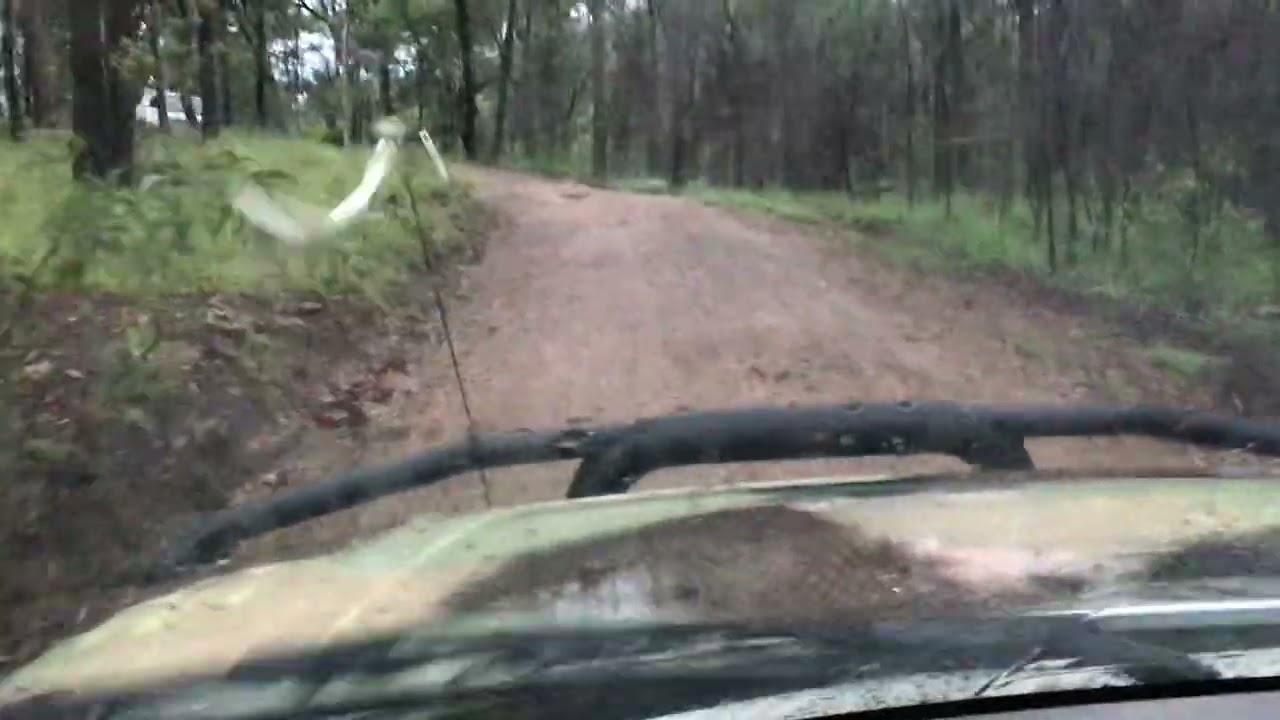 We are doing a happy dance , RAIN ! 💦💦please Subscribe , like , comment ! 