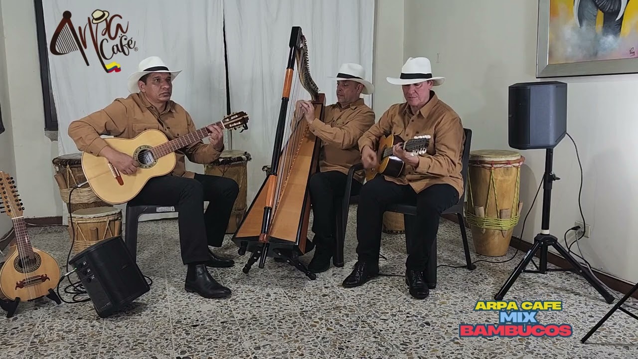 MIX BAMBUCOS @danyharp & @arpacafe Trio Live