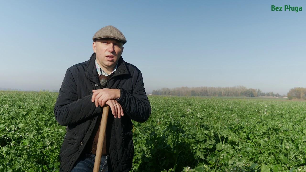 Zalety międzyplonów