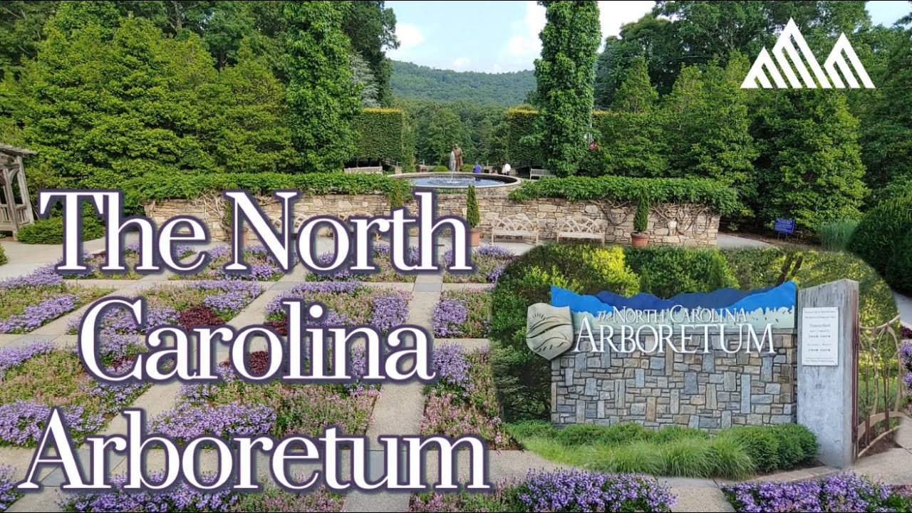 Visiting the North Carolina Arboretum
