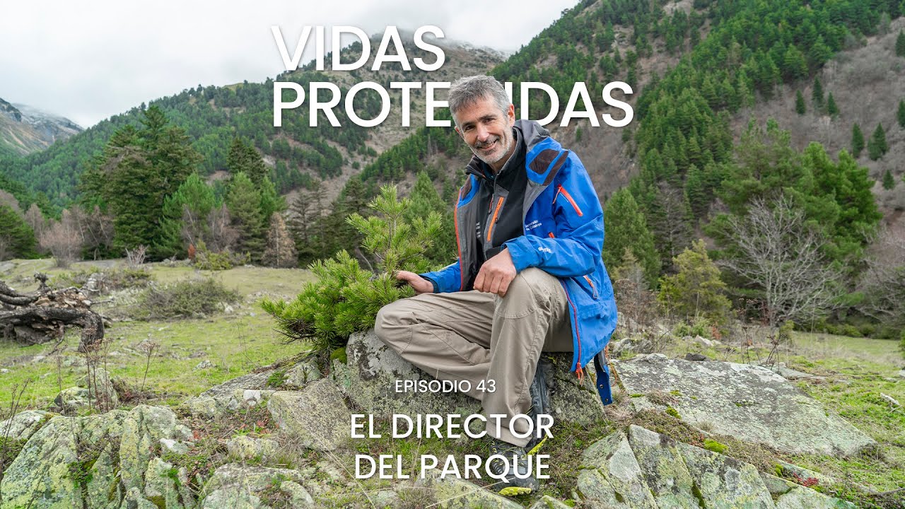 EL DIRECTOR DEL PARQUE. Episodio 43