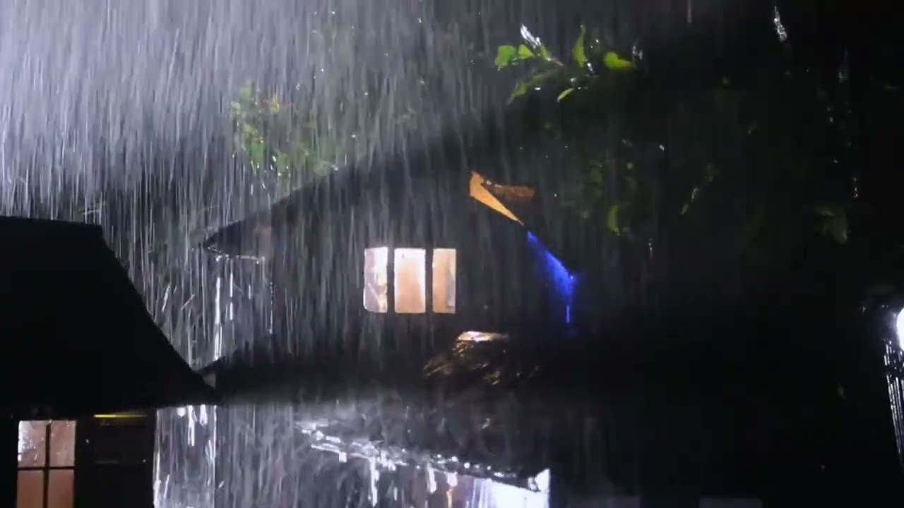 Rain Sounds for Sleeping | Fall Asleep Fast