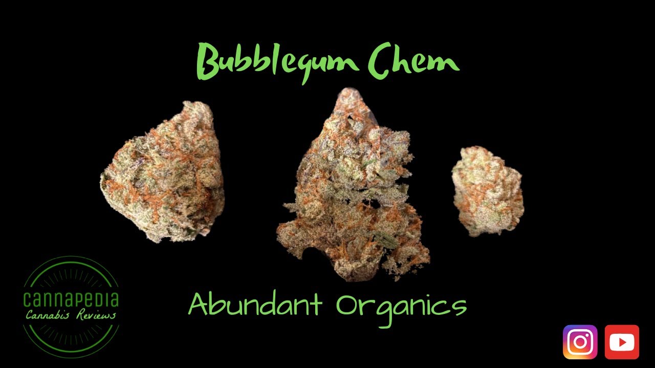 Bubblegum Chem Strain Review - Abundant Organics - Cannapedia