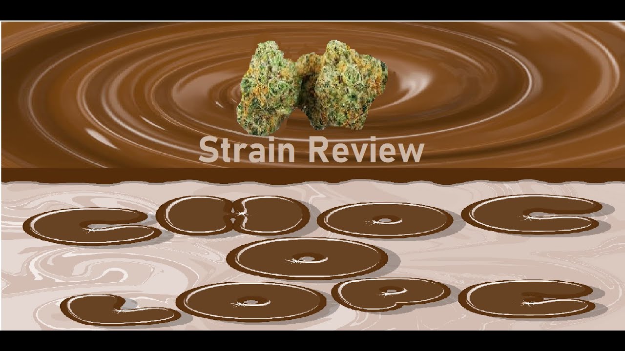 Chocolope AKA D-Line Strain Review Kush/Cannabis Review +Plant Update #chocolope