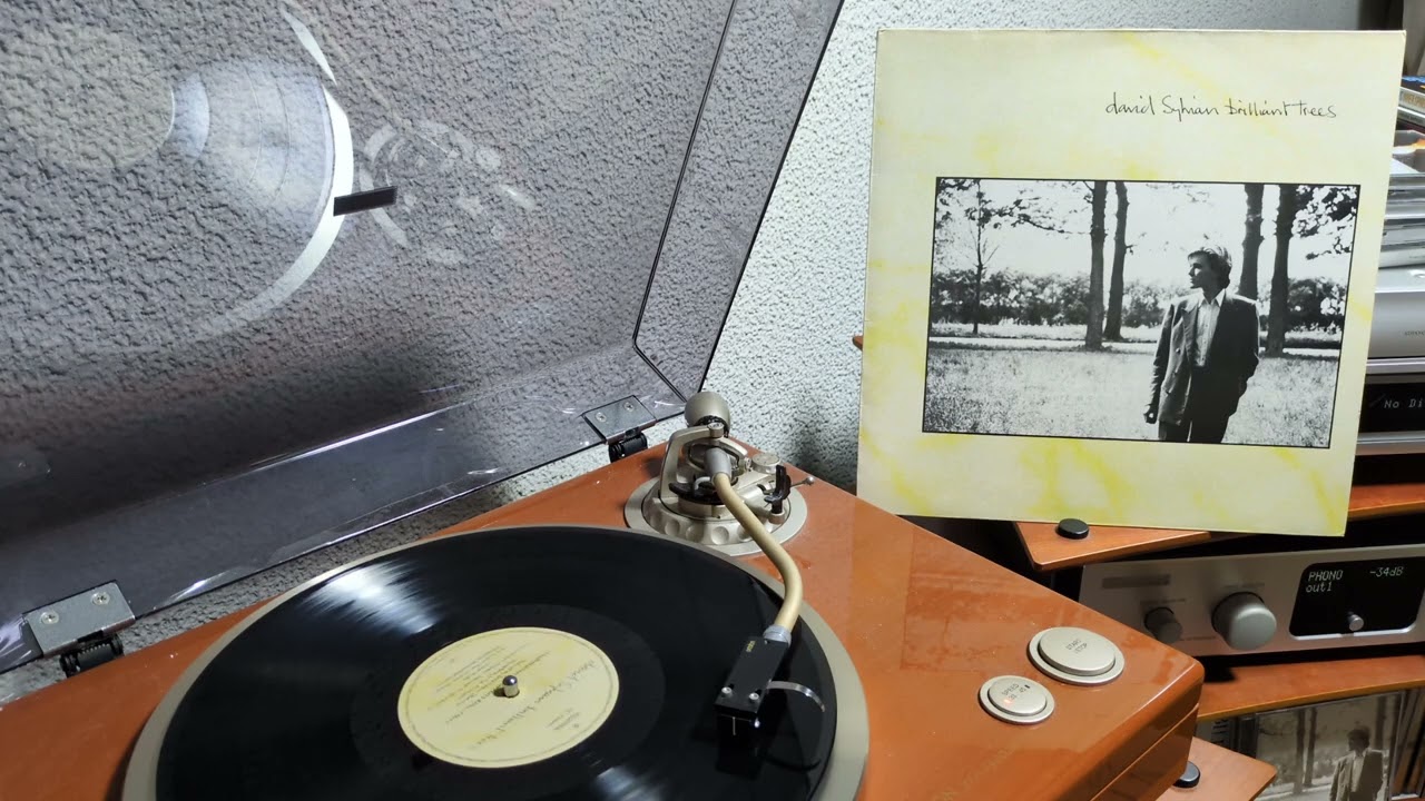 Backwaters - David Sylvian