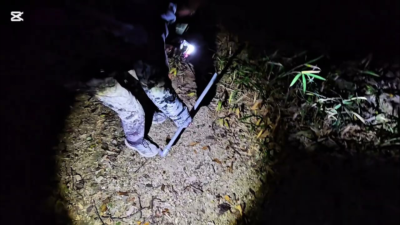 秋坊主のナイト ウォーク🌕～愛知県 豊明市 二村山展望台～　後編