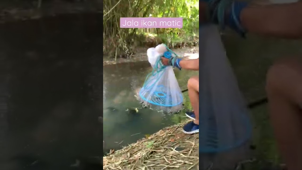 Jala ikan matic #jalaikan #sibolang #kookiko