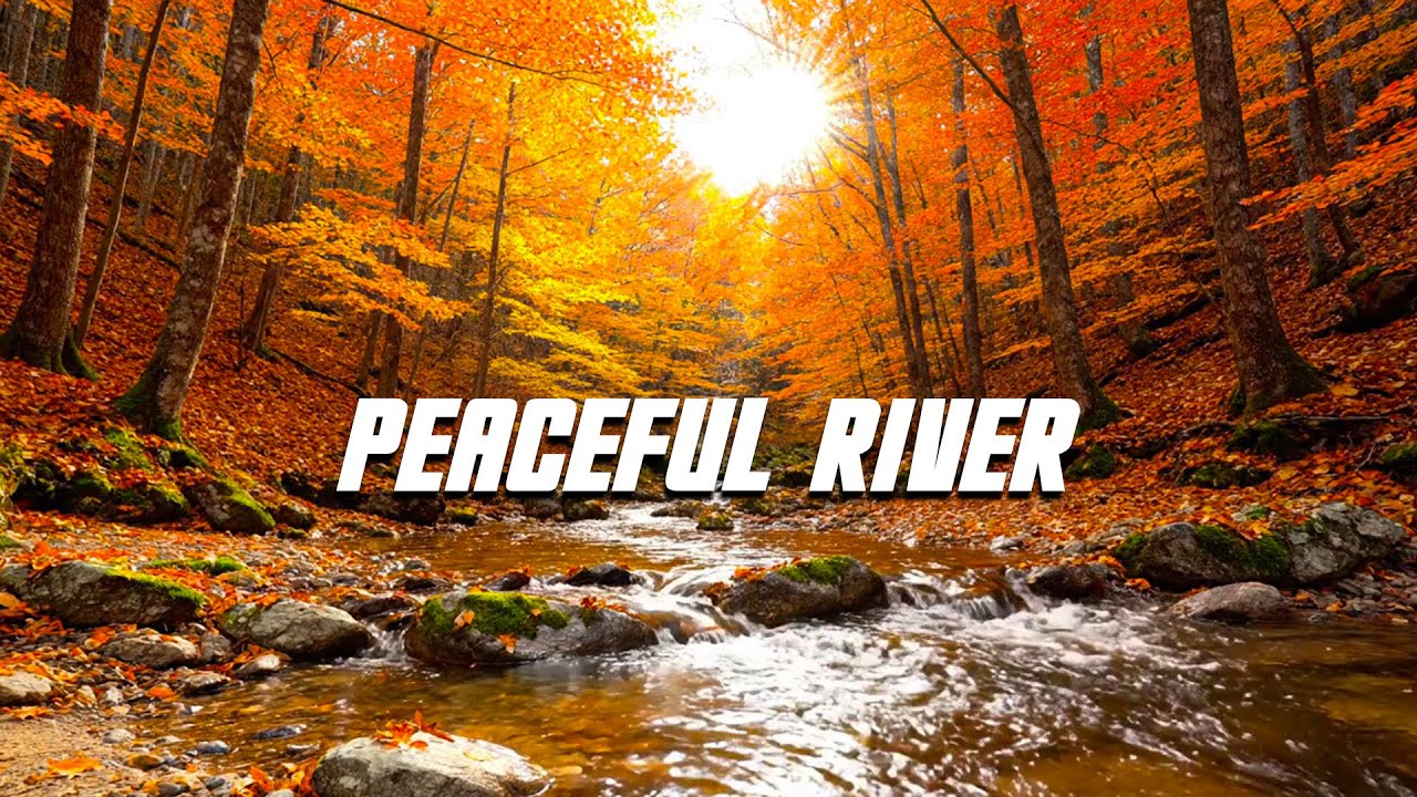 Relaxing River Sounds 🌊 Autumn Forest Nature for Sleep, Stress Relief & Meditation