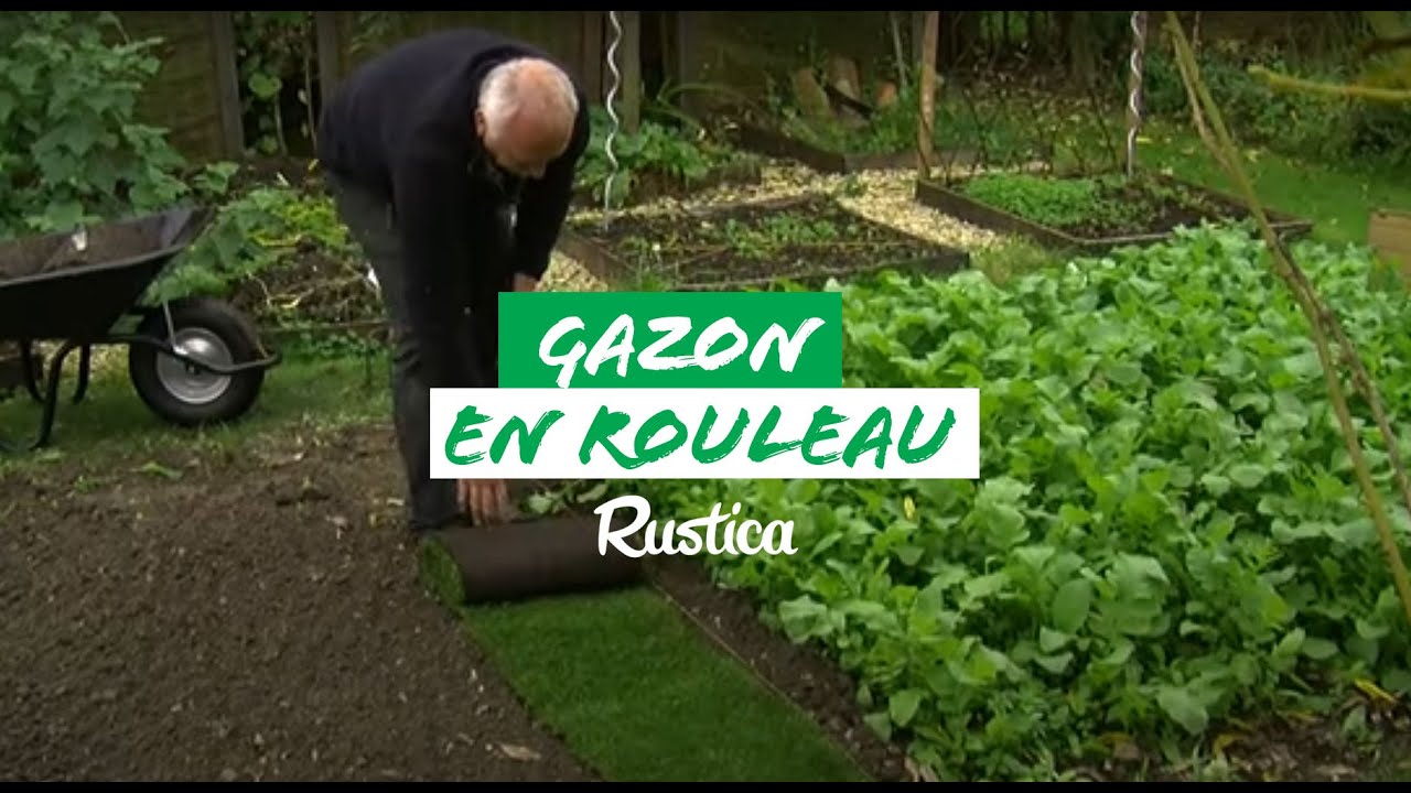 Poser du gazon en rouleau