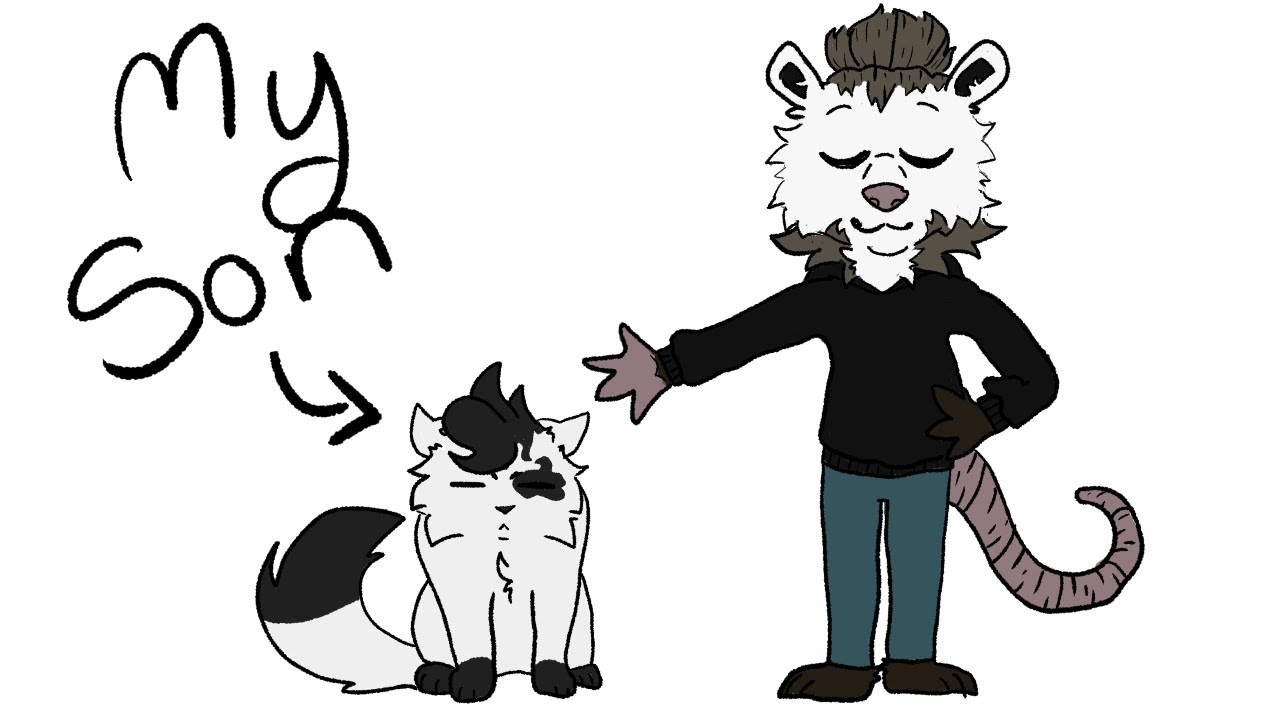 I Traumatized a Cat
