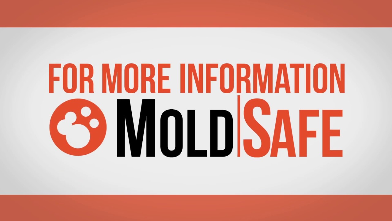 Alamo Real Pro Inspection Group MoldSafe