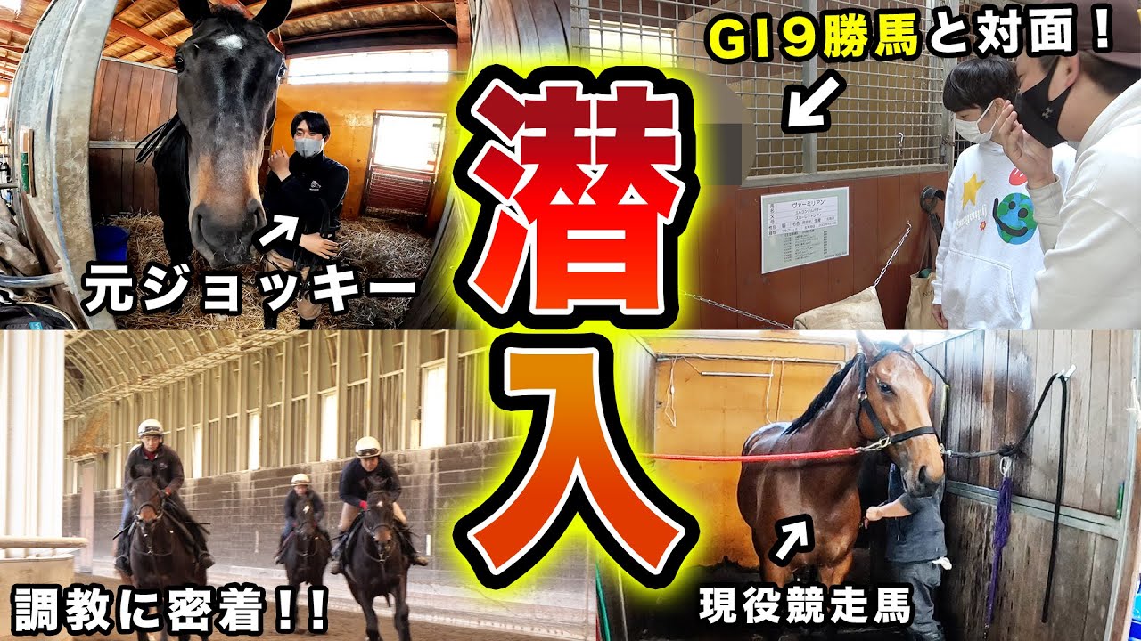 【衝撃】日本一の競馬牧場に特別に入れて貰ったら、驚きの光景が….！！