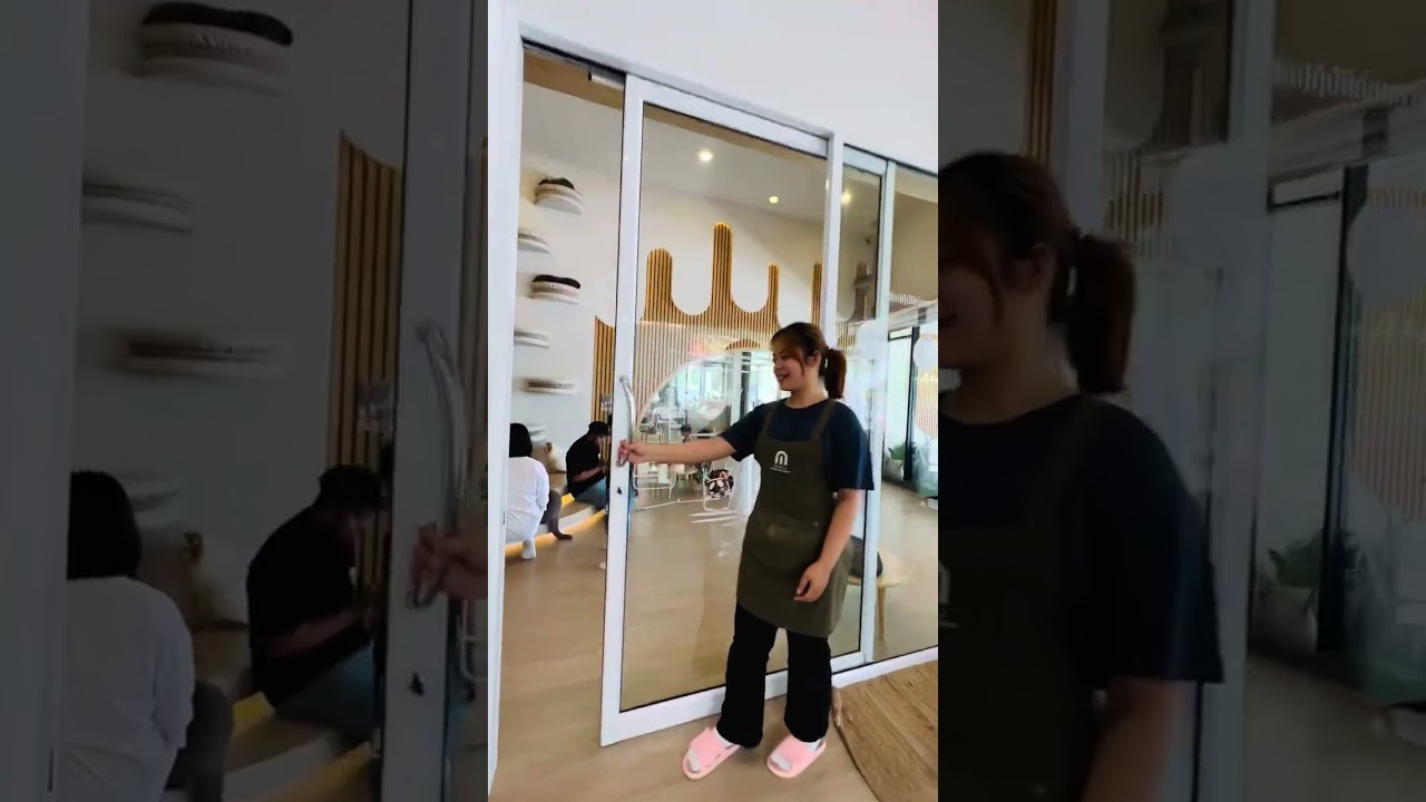 มะลิแคทคาเฟ่ คาเฟ่แมวที่ใหญ่ที่สุดในชลบุรี