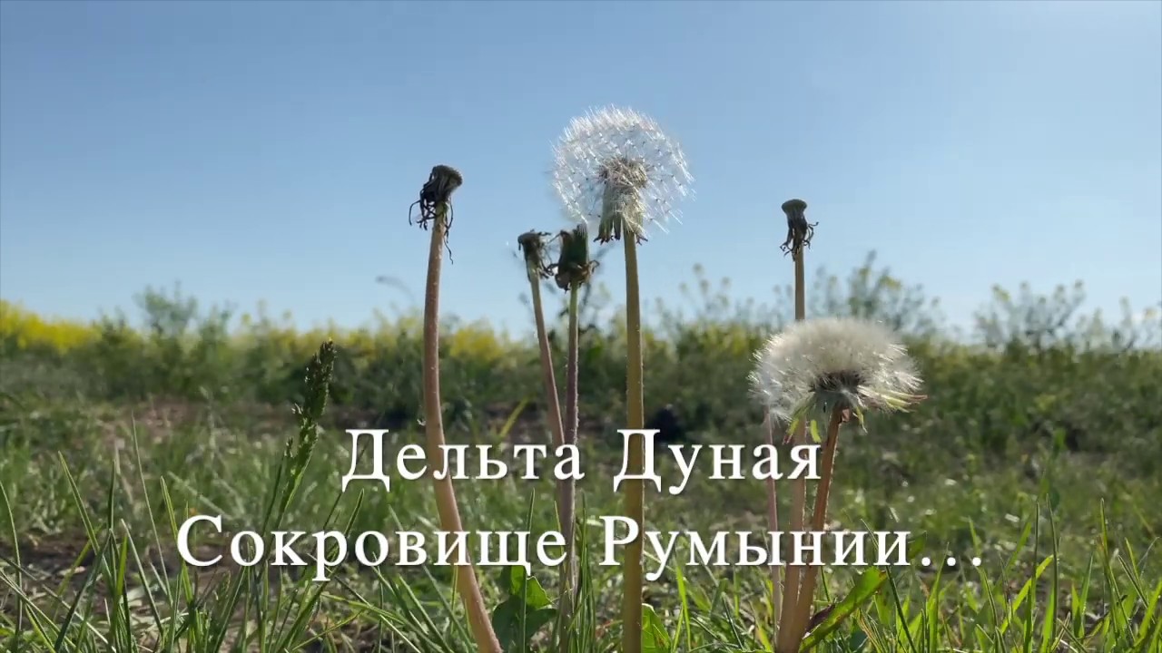 Дельта Дуная – затерявшийся природный рай