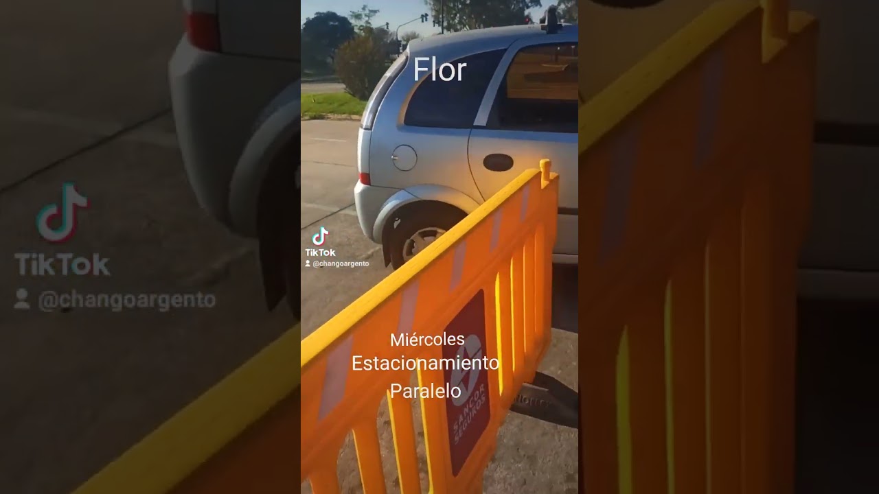 Flor estacionamiento paralelo usando dos variantes