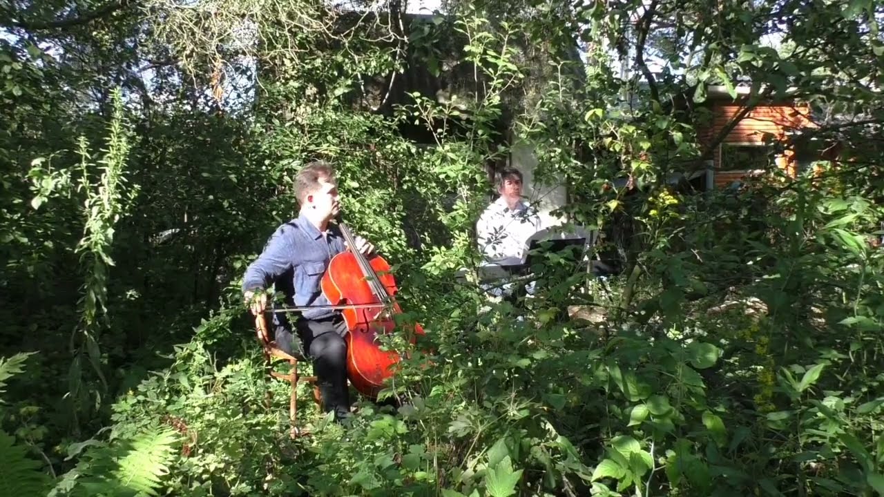 F. Chopin. Etude op.10  №3.