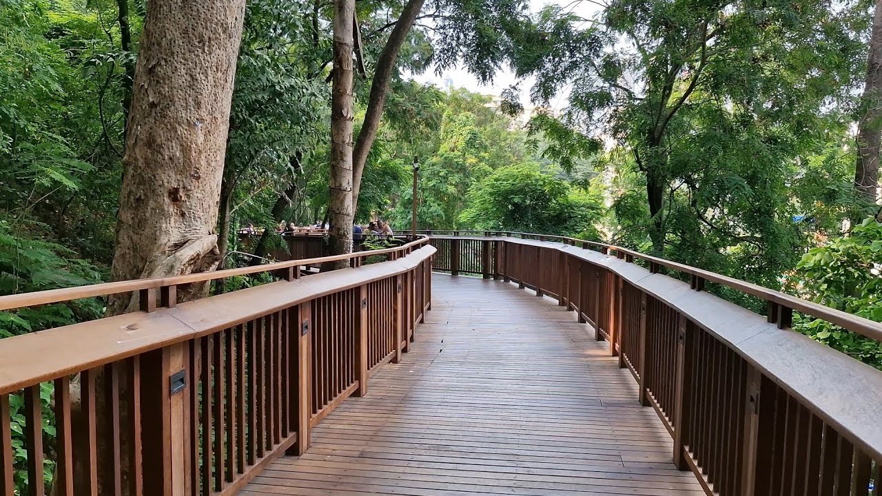 South Mumbai&rsquo;s Best Walkway? | Malabar Hill Walking Tour #malabarhill #mumbai #mumbaidiaries